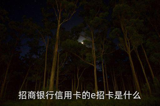 招商銀行信用卡的e招卡是什么
