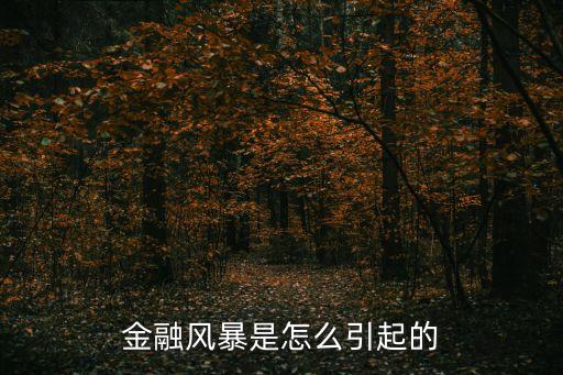 擔(dān)保危機是什么意思，emergncy blanket什么意思