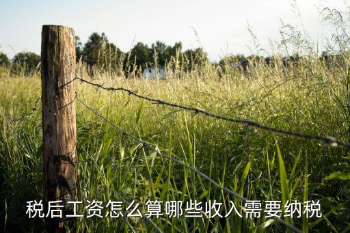 稅后工資怎么算哪些收入需要納稅