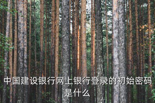 中國(guó)建設(shè)銀行卡直接登錄密碼是什么意思，中國(guó)建設(shè)銀行網(wǎng)上銀行登錄的初始密碼是什么