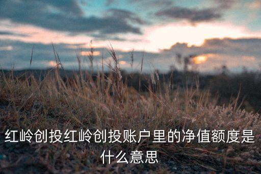 賬戶凈值借款什么意思，什么叫金融賬戶凈值