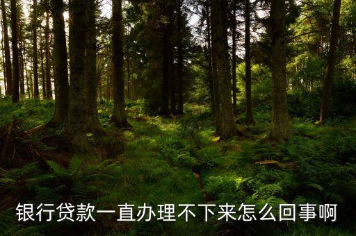 辦什么貸款都辦不下來，我的貸款為什么批不下來