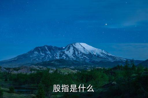 股指是什么