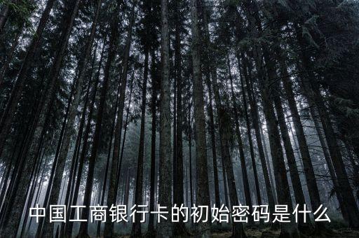 工行信用卡初使密碼是什么原因，工商銀行電子卡的初始密碼是什么