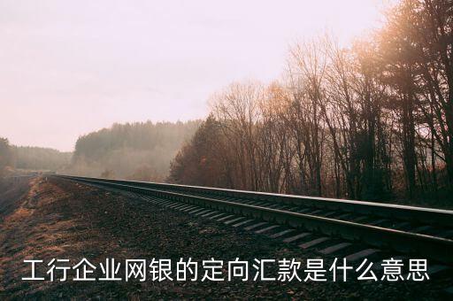 工行企業(yè)網(wǎng)銀的定向匯款是什么意思