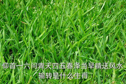 仰首一六問(wèn)青天四五春澤當(dāng)早睛送風(fēng)水輸轉(zhuǎn)是什么生肖