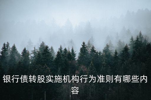 銀行債轉(zhuǎn)股實施機(jī)構(gòu)行為準(zhǔn)則有哪些內(nèi)容