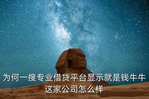 為何一搜專業(yè)借貸平臺(tái)顯示就是錢牛牛這家公司怎么樣