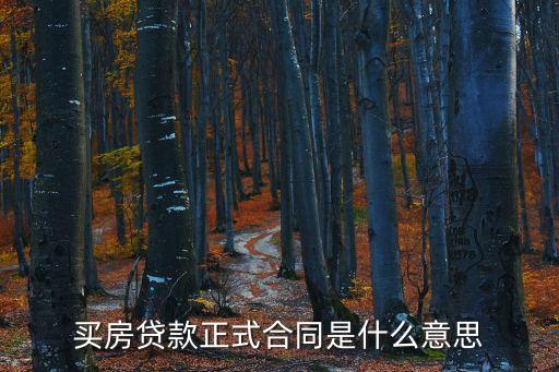 買房貸款正式合同是什么意思