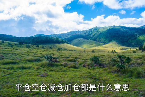 平倉空倉減倉加倉都是什么意思