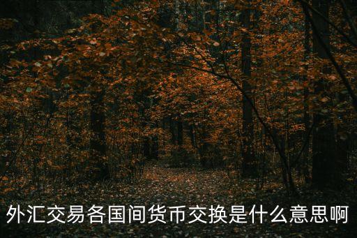 什么是外幣兌換，外幣兌換是什么意思