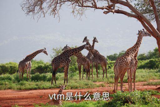 遠(yuǎn)程智能銀行vtm是什么，手機(jī)中更多網(wǎng)絡(luò)連接有個(gè)vtm是什么意思