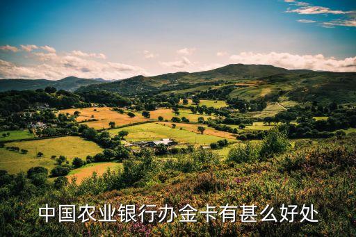 農(nóng)行金卡什么好處，中國農(nóng)業(yè)銀行辦金卡有甚么好處