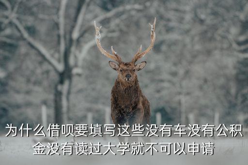 為什么借唄要申請(qǐng)，為什么借唄要填寫這些沒有車沒有公積金沒有讀過大學(xué)就不可以申請(qǐng)