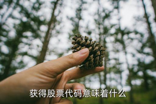 拿到上市代碼什么用，獲得股票代碼意味著什么