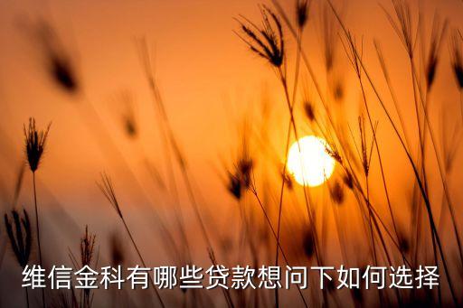 維信金科有哪些貸款想問下如何選擇