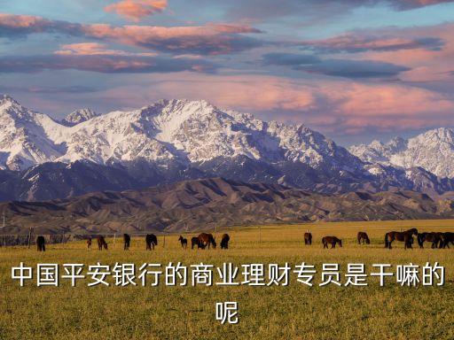 中國平安銀行的商業(yè)理財(cái)專員是干嘛的呢