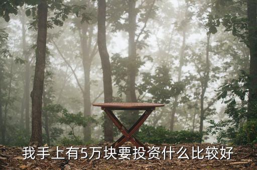 手里有5萬元能投資什么，5萬元投資什么項目好