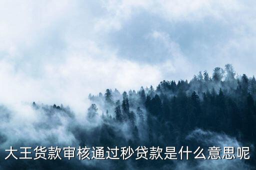 大王貨款審核通過秒貸款是什么意思呢