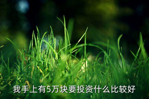 手里有5萬元能投資什么意思，我手上有5萬塊要投資什么比較好
