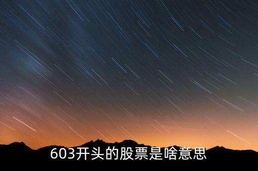 603開頭的股票是啥意思