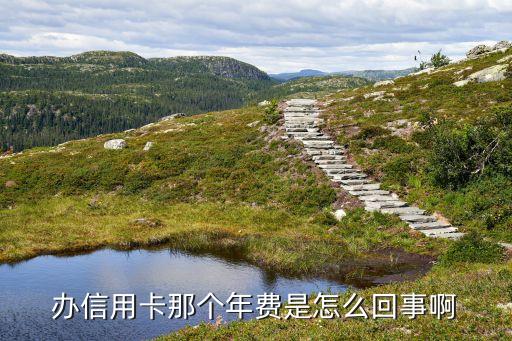 辦信用卡那個(gè)年費(fèi)是怎么回事啊