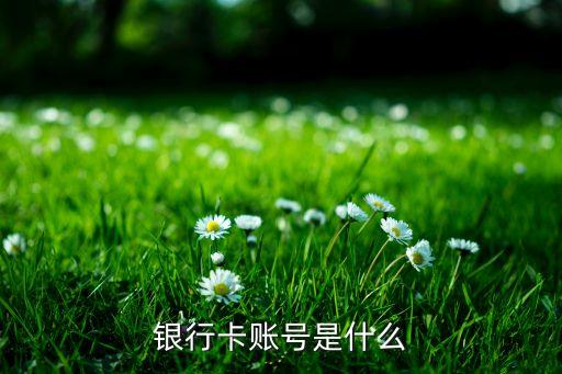 銀行卡賬號(hào)是什么