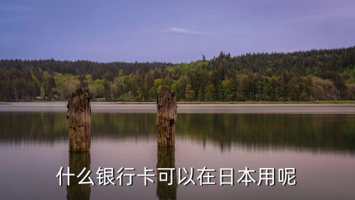 什么銀行卡可以在日本用呢