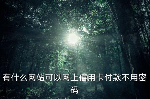 有什么網(wǎng)站可以網(wǎng)上信用卡付款不用密碼