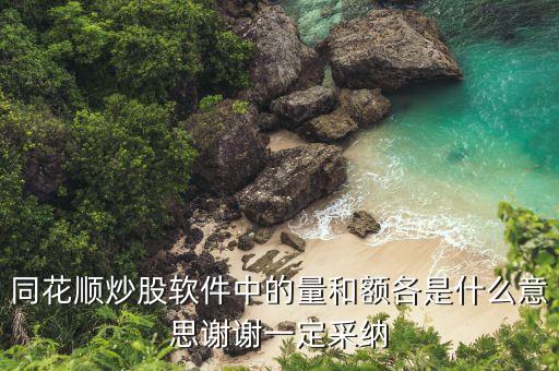 股票中的額和量是什么意思是什么，東方財(cái)富股票的額和量是什么意思