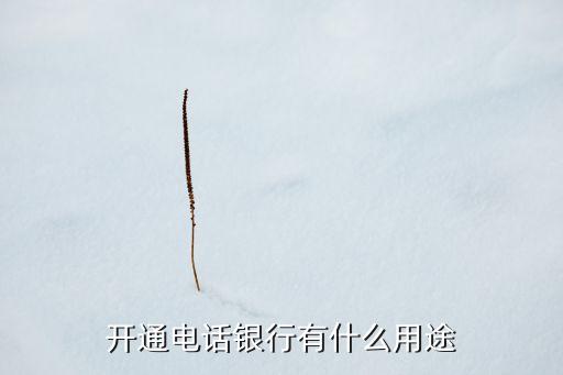開通了電話銀行是什么，電話銀行是什么