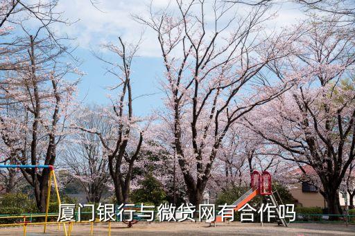 廈門銀行與微貸網(wǎng)有合作嗎