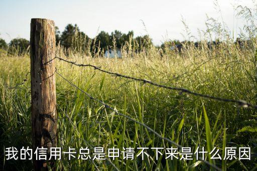 我的信用卡總是申請(qǐng)不下來(lái)是什么原因