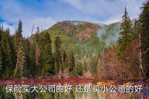 為什么買大公司的保險公司，為什么購買保險需要選擇有實(shí)力的公司