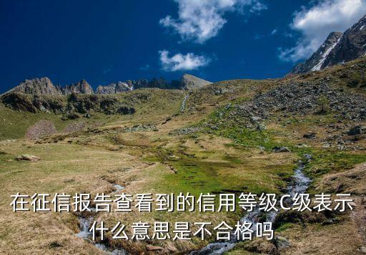 征信報(bào)告c代表什么意思，個(gè)人信用報(bào)告中C表示的含義