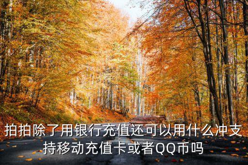 拍拍貸可以用什么充值，拍拍除了用銀行卡和手機(jī)和網(wǎng)上銀行充值還可以用什么充值