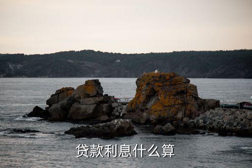 貸款按什么計算，貸款利息是怎么算出來的