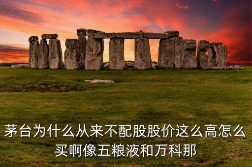 茅臺(tái)股票為什么買(mǎi)不到，為什么買(mǎi)不到600401股票