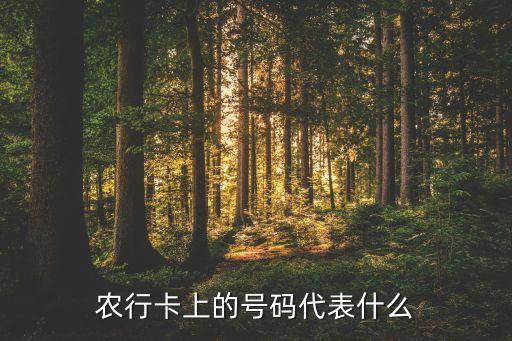 農(nóng)行卡上的號碼代表什么