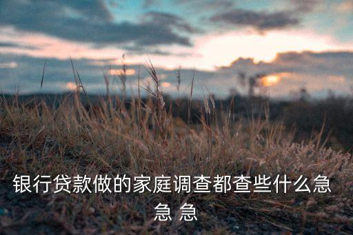 銀行貸款做的家庭調查都查些什么急 急 急