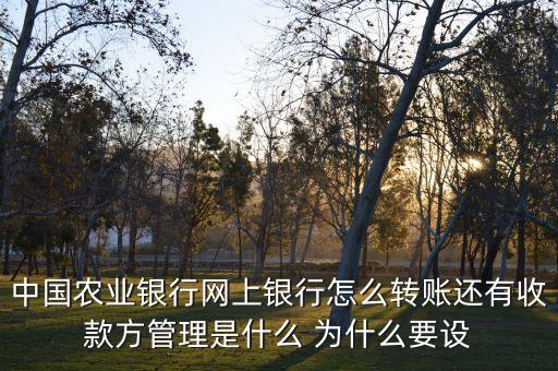 中國農(nóng)業(yè)銀行網(wǎng)上銀行怎么轉(zhuǎn)賬還有收款方管理是什么 為什么要設