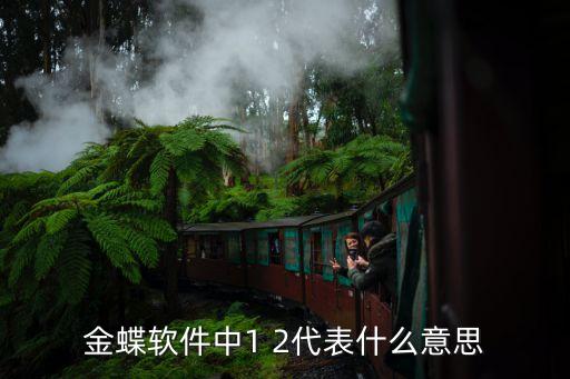 金蝶軟件中1 2代表什么意思