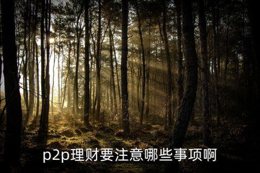 p2p理財要注意哪些事項啊
