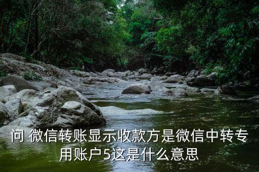 問 微信轉(zhuǎn)賬顯示收款方是微信中轉(zhuǎn)專用賬戶5這是什么意思