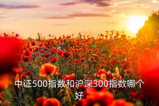 中證500指數(shù)和滬深300指數(shù)哪個好