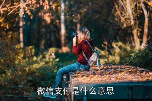 微信的付款是什么意思啊，微信支付是什么意思