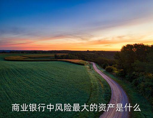 銀行承擔風險最強的是什么，銀行資金業(yè)務最大風險是什么