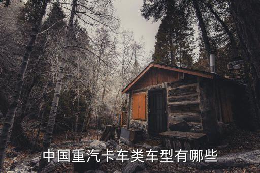 有卡什么汽車，歐曼超級卡車一共有幾款
