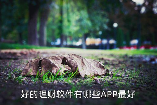 用什么軟件理財(cái)比較好，好用的理財(cái)工具推薦
