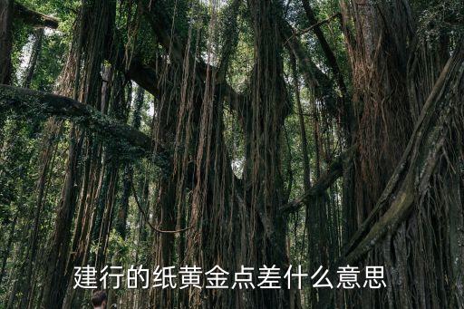 紙黃金點(diǎn)差是什么意思，建行的紙黃金點(diǎn)差什么意思